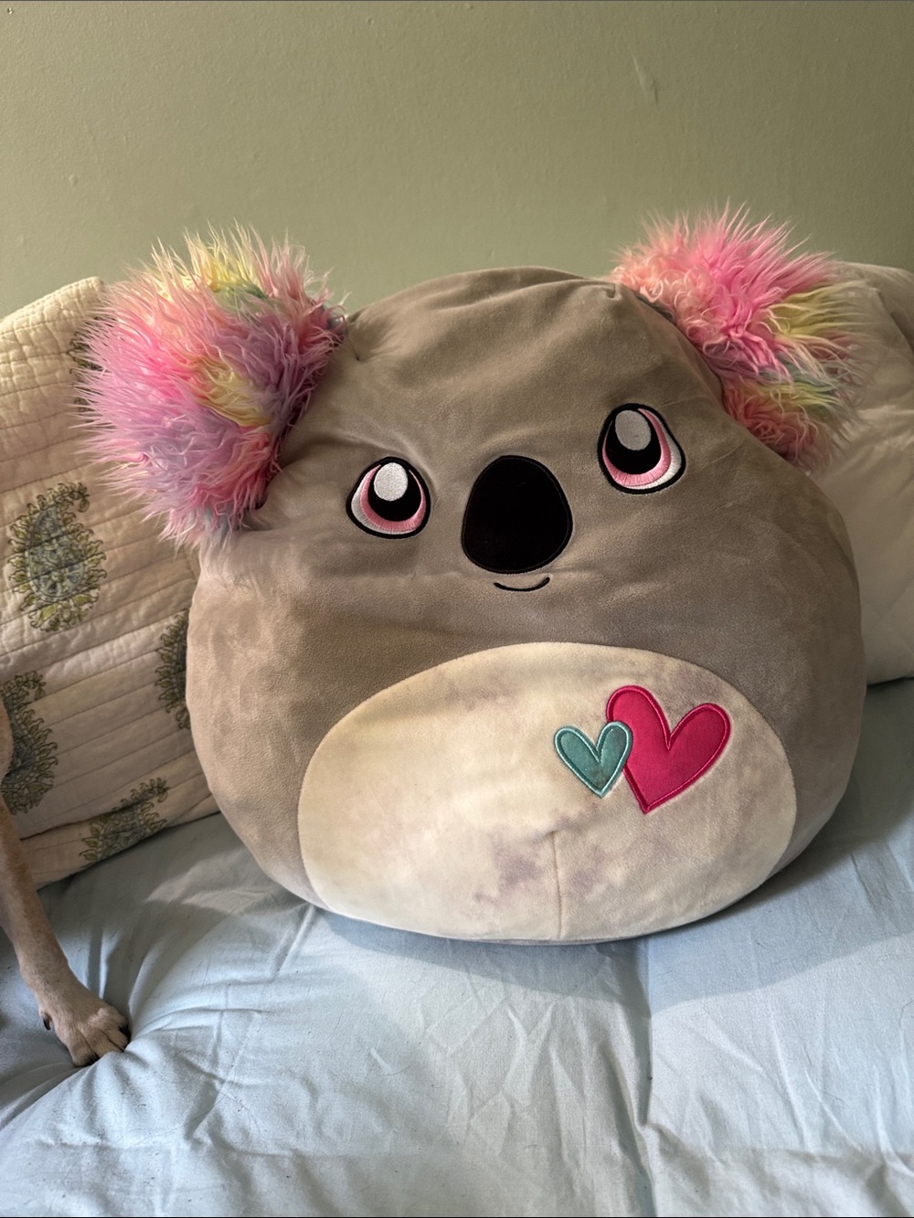 Squishmallows Gray Koala with Pink and Rainbow Ears